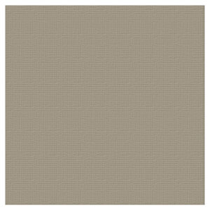 Textured Cardstock 12 x 12 - Ash/Silver Star