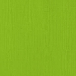 Textured Cardstock 12 x 12 - Cricket