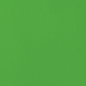 Textured Cardstock 12 x 12 - Grass