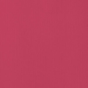 Textured Cardstock 12 x 12 - Ladybug