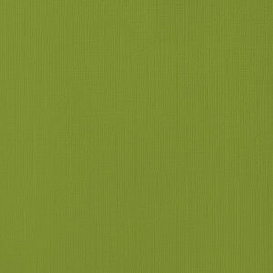 Textured Cardstock 12 x 12 - Leaf