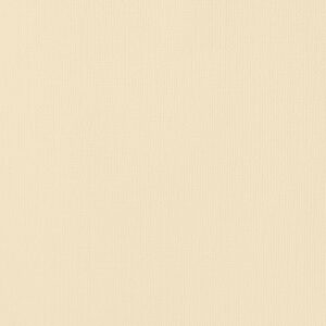 Textured Cardstock 12 x 12 - Oatmeal