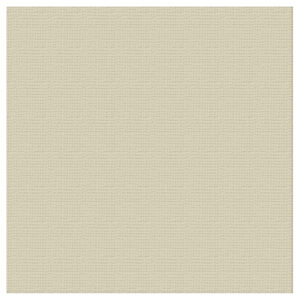 Textured Cardstock 12 x 12 - Smoke/Delicate Mediar