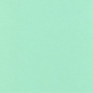 Textured Cardstock 12 x 12 - Spearmint