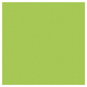 Textured Cardstock 12 x 12 - Cricket/Chrysalis