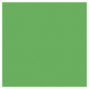 Textured Cardstock 12 x 12 - Grass/Leprechaun