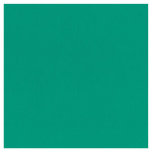 Textured Cardstock 12 x 12 - Jade/Verdigri Green