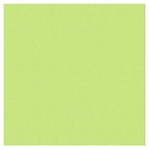 Textured Cardstock 12 x 12 - Key Lime/Mantis