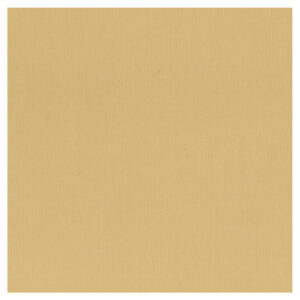 Textured Cardstock 12 x 12 - Latte/Chai