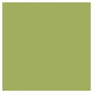 Textured Cardstock 12 x 12 - Leaf/Olive Grove