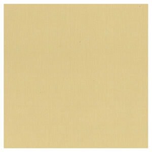 Textured Cardstock 12 x 12 - Oatmeal/Oats