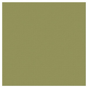 Textured Cardstock 12 x 12 - Olive/Battle Fatigue